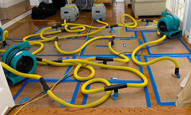 Professional Crawl Space Water Removal technician working in Medina, WA